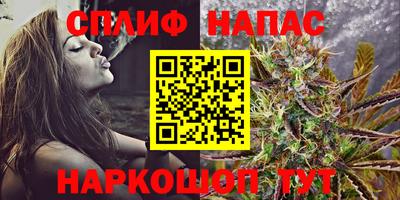 apvp Можга