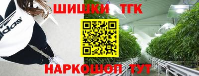 apvp Можга