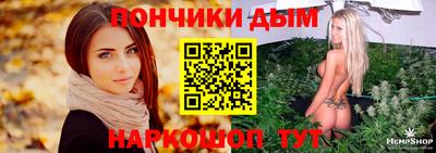 apvp Можга