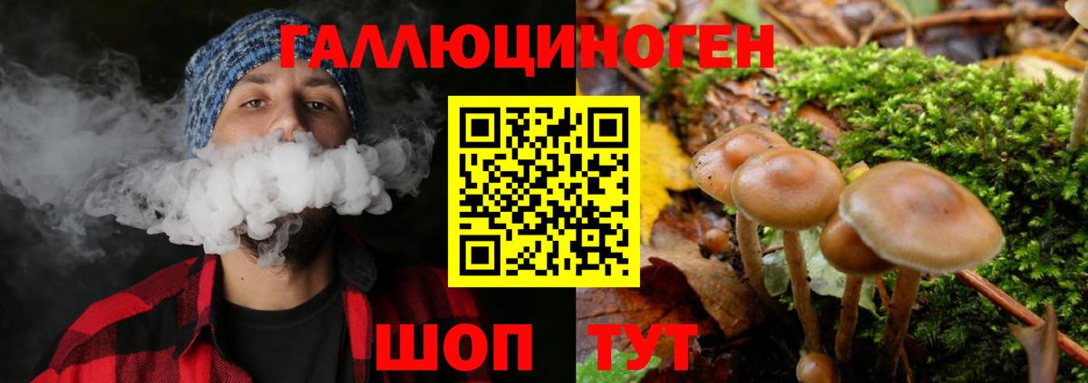 Фрязино  Псилоцибиновые грибы Psilocybine cubensis  Вход с VPN 